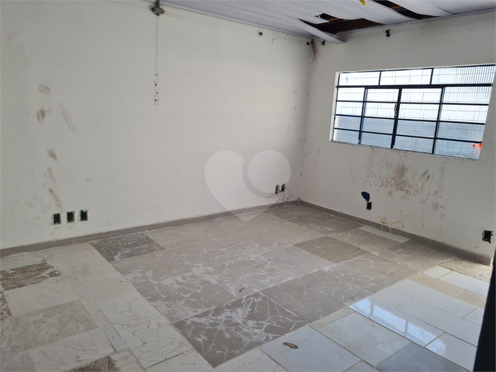Foto REO1102747