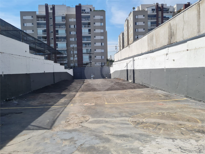 Foto REO1102747