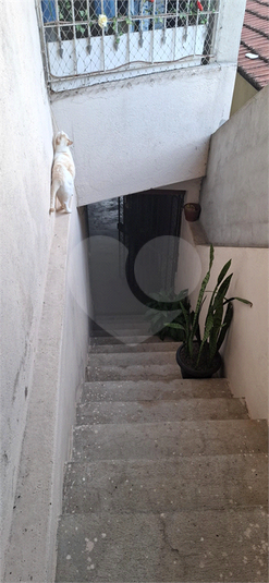 Foto REO1102754