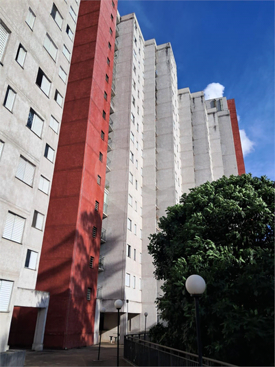 Foto REO1102761