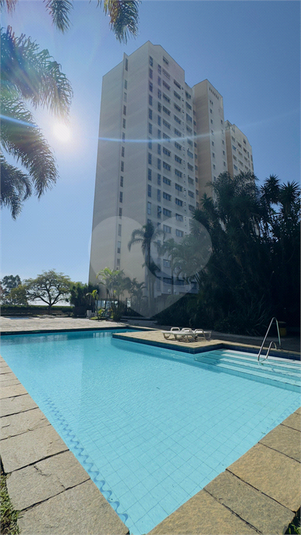 Foto REO1102768