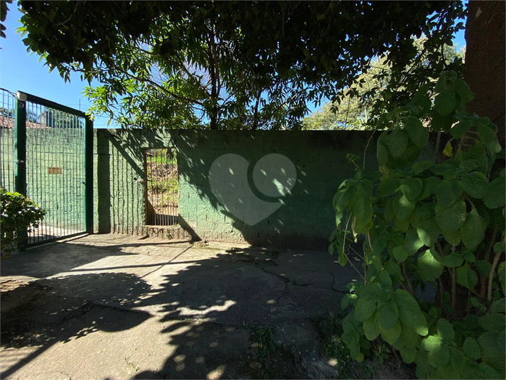Foto REO1102773