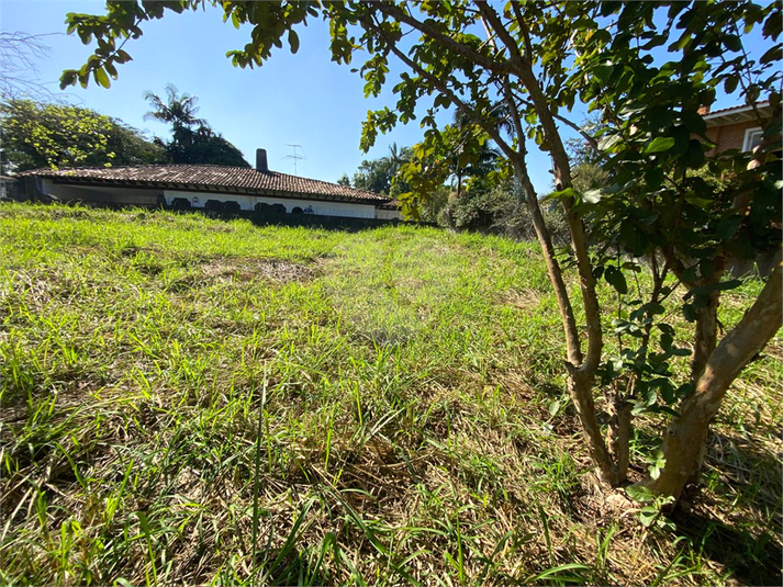 Foto REO1102773