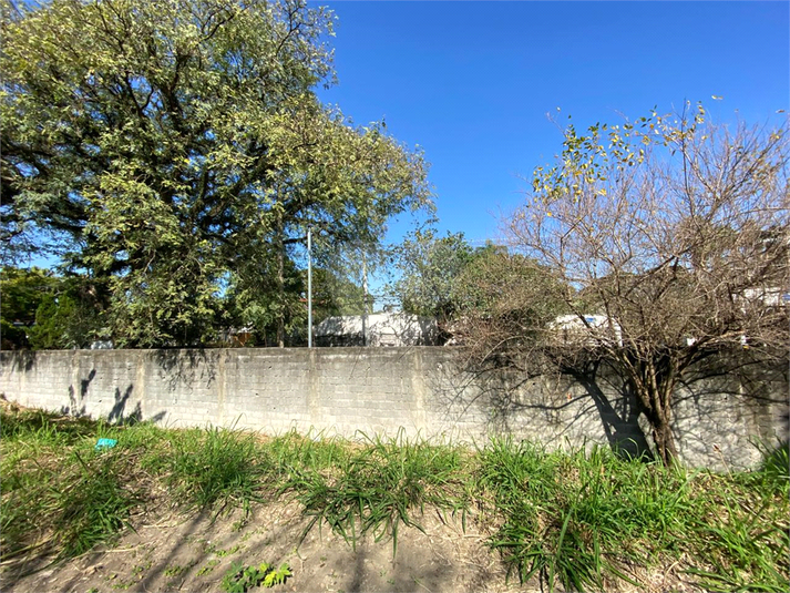Foto REO1102773