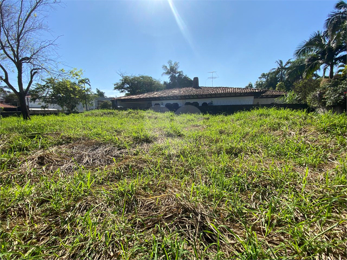 Foto REO1102773