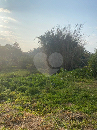 Foto REO1102779