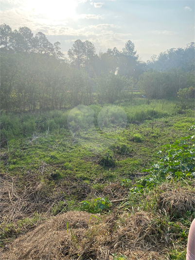 Foto REO1102779