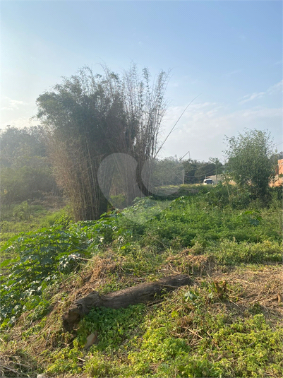 Foto REO1102779