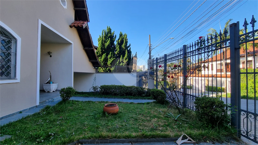 Foto REO1102786