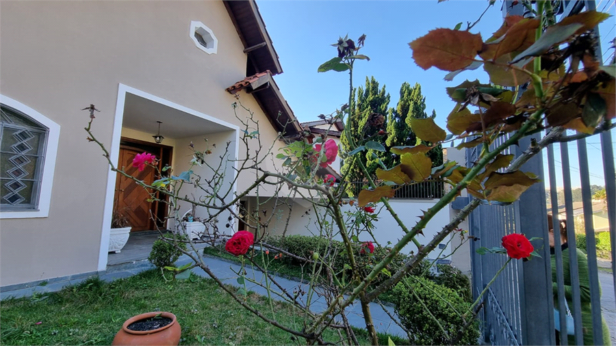 Foto REO1102786