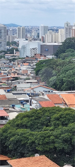 Foto REO1102796