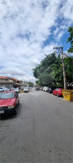 Foto REO1102796