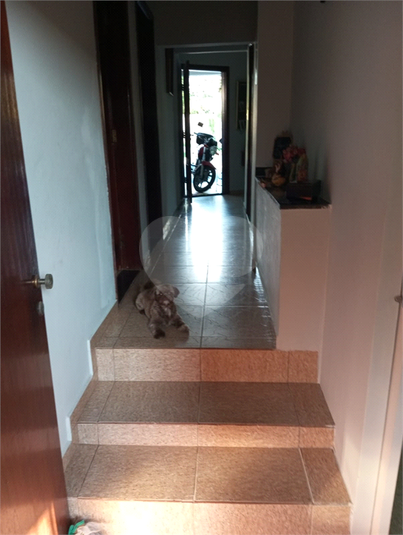 Foto REO1102803