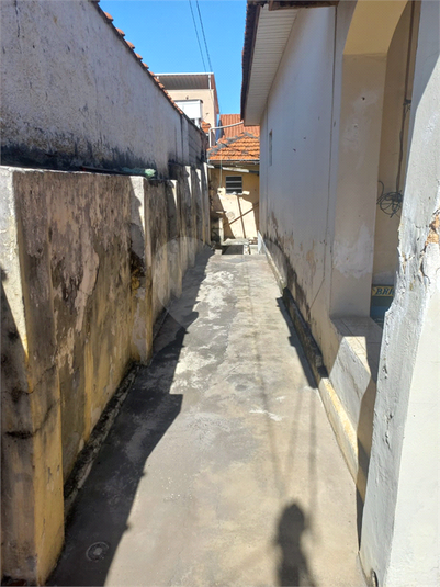Foto REO1102835
