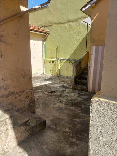Foto REO1102835