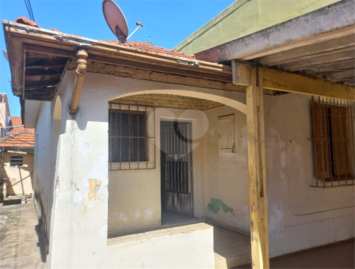 Foto REO1102835