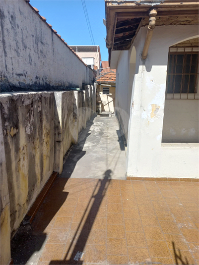 Foto REO1102835