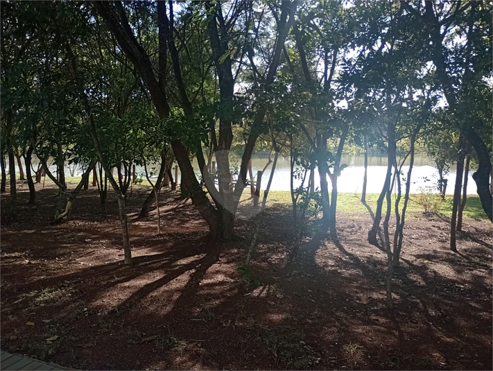 Foto REO1102838