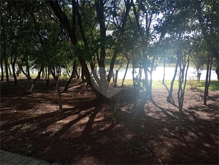 Foto REO1102838