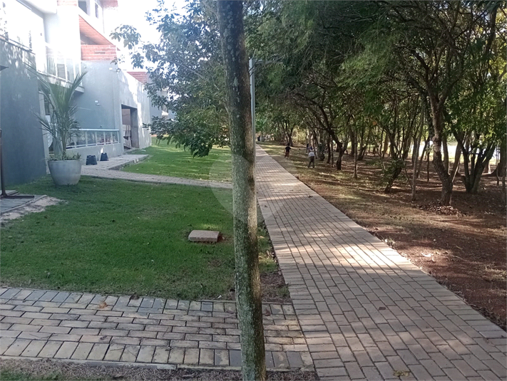 Foto REO1102838