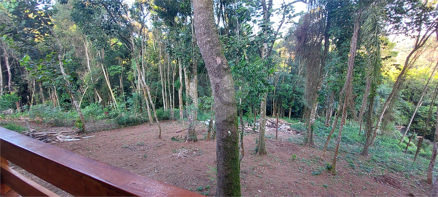 Foto REO1102844