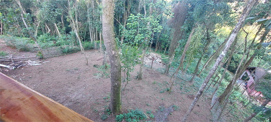 Foto REO1102844