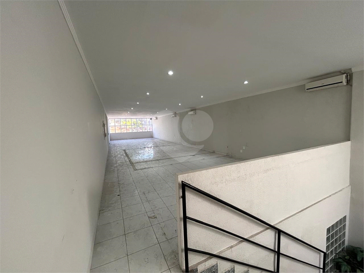 Foto REO1102849