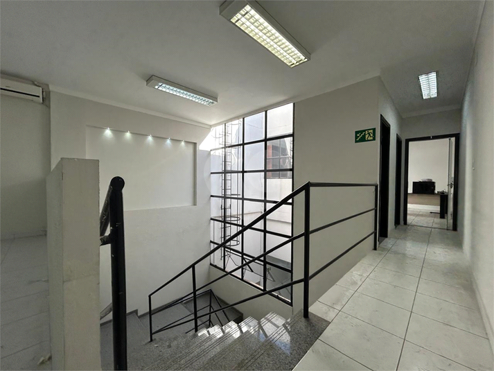 Foto REO1102849