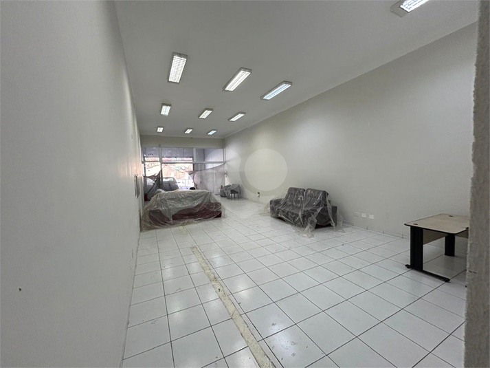 Foto REO1102849