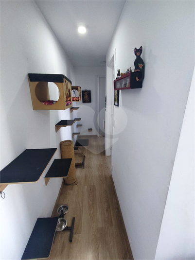 Foto REO1102850