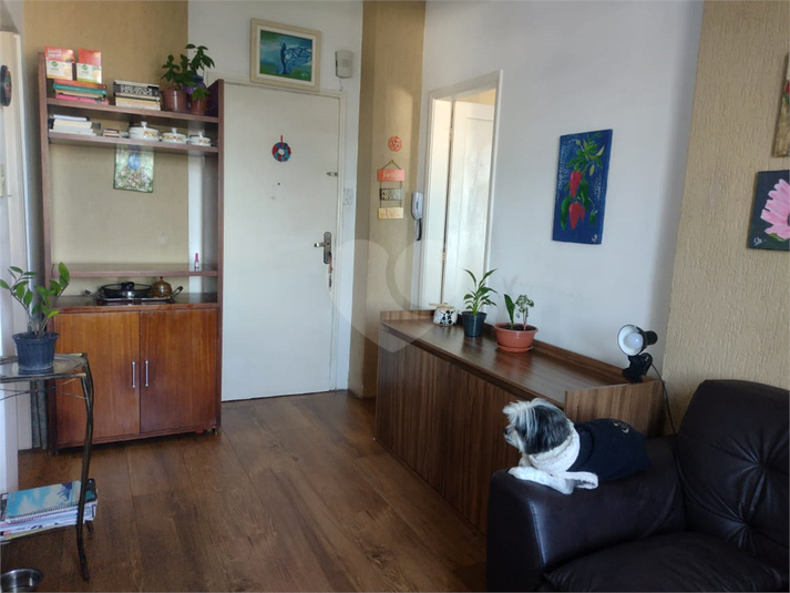 Foto REO1102864