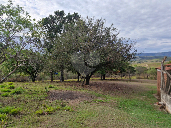 Foto REO1102879