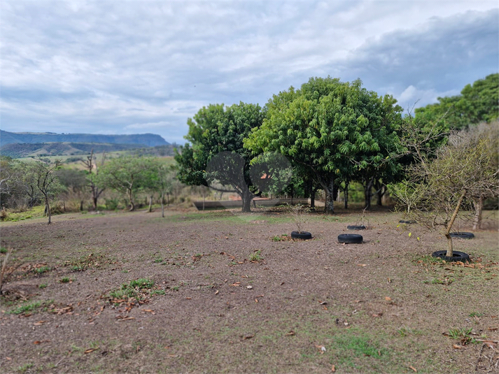 Foto REO1102879