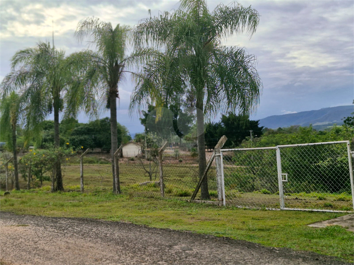 Foto REO1102879