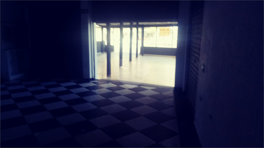 Foto REO1102881