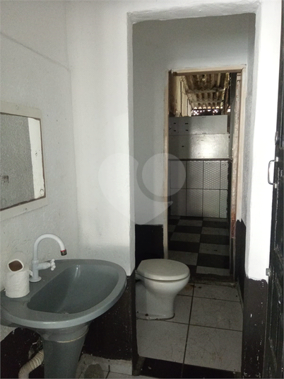 Foto REO1102881