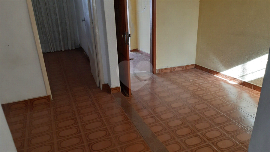 Foto REO1102883