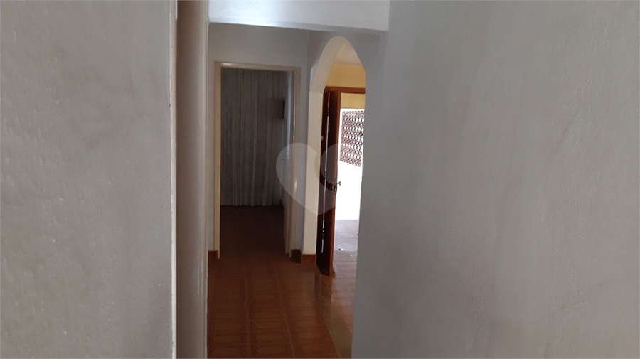 Foto REO1102883