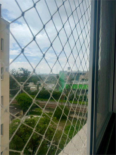 Foto REO1102892