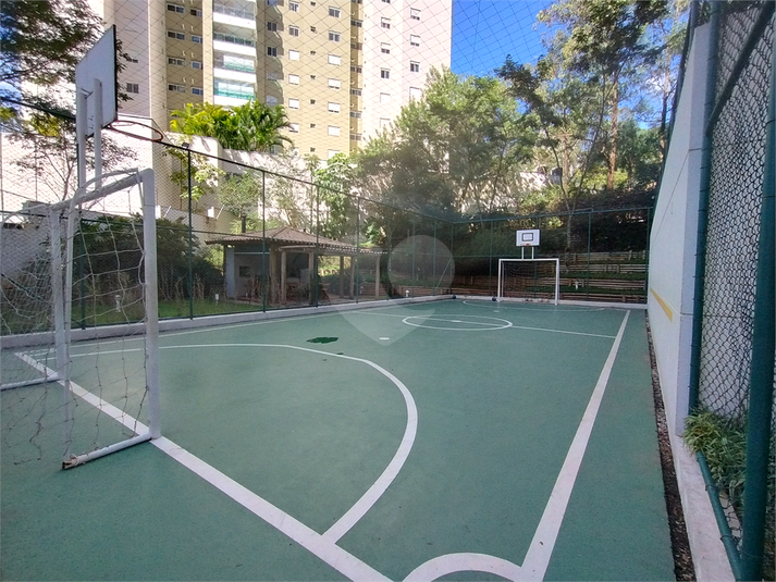 Foto REO1102896
