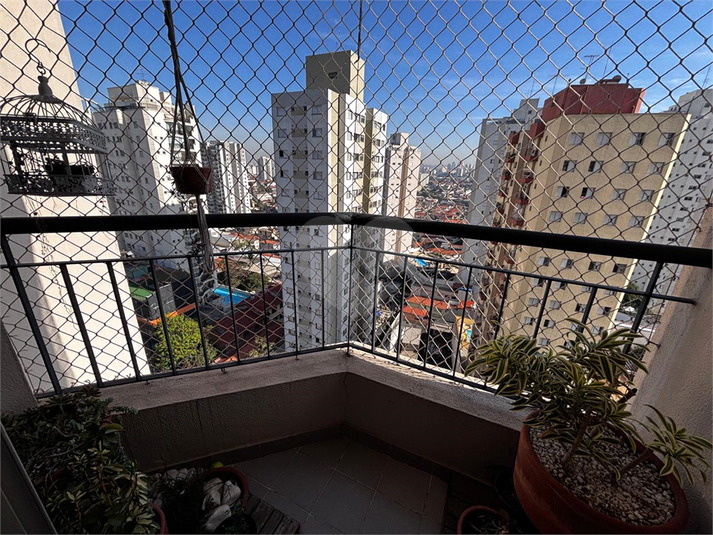 Foto REO1102948