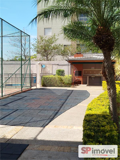 Foto REO1102954