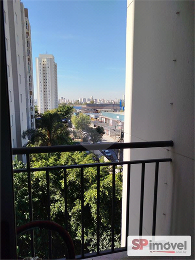 Foto REO1102954