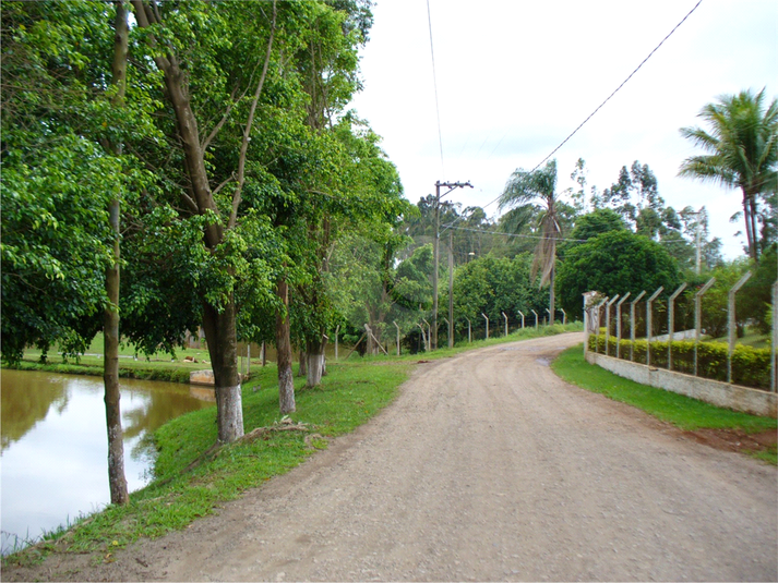 Foto REO1102975