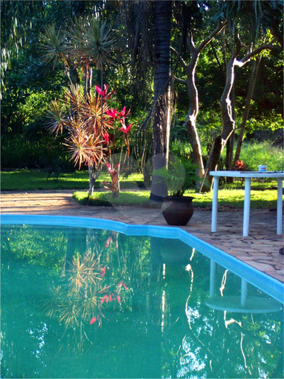 Foto REO1102975