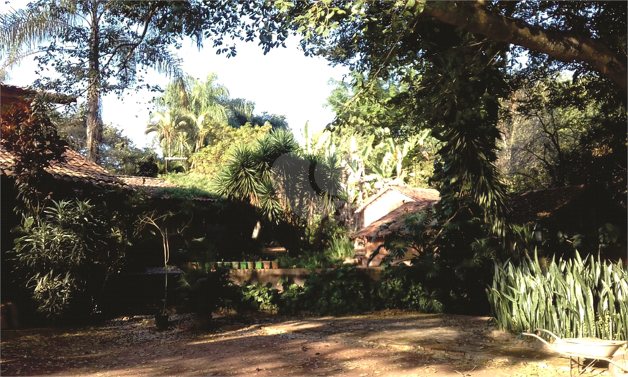 Foto REO1102975