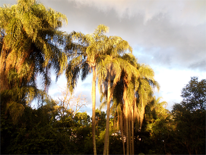 Foto REO1102975