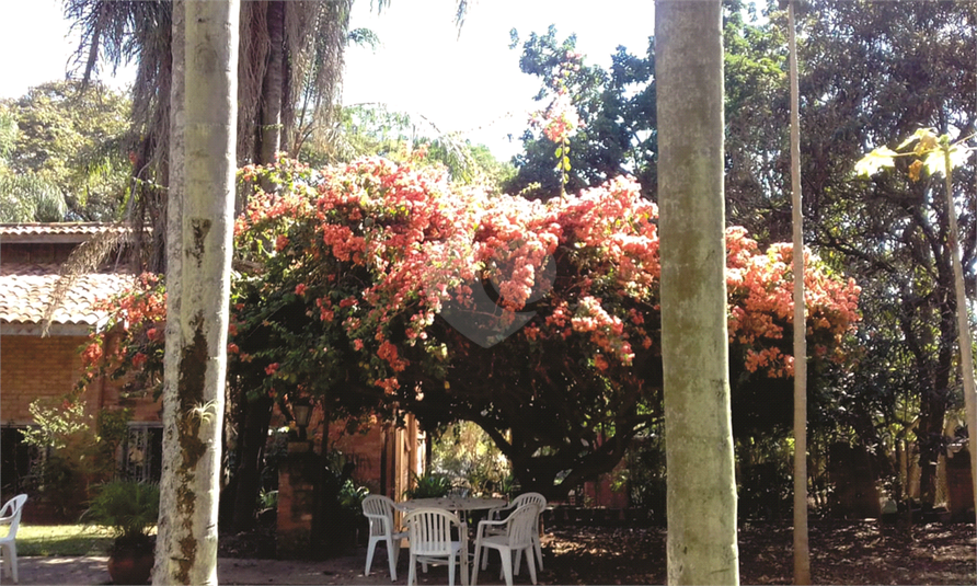 Foto REO1102975