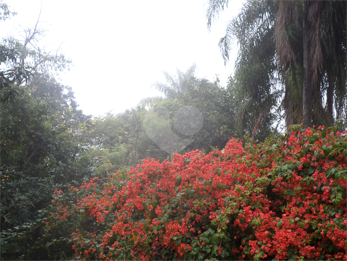 Foto REO1102975