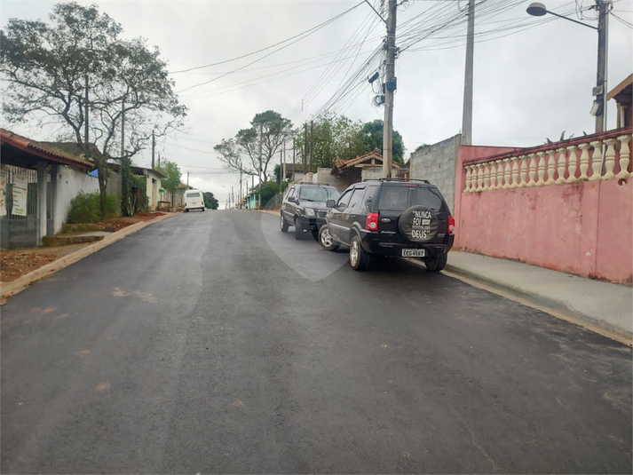 Foto REO1102980